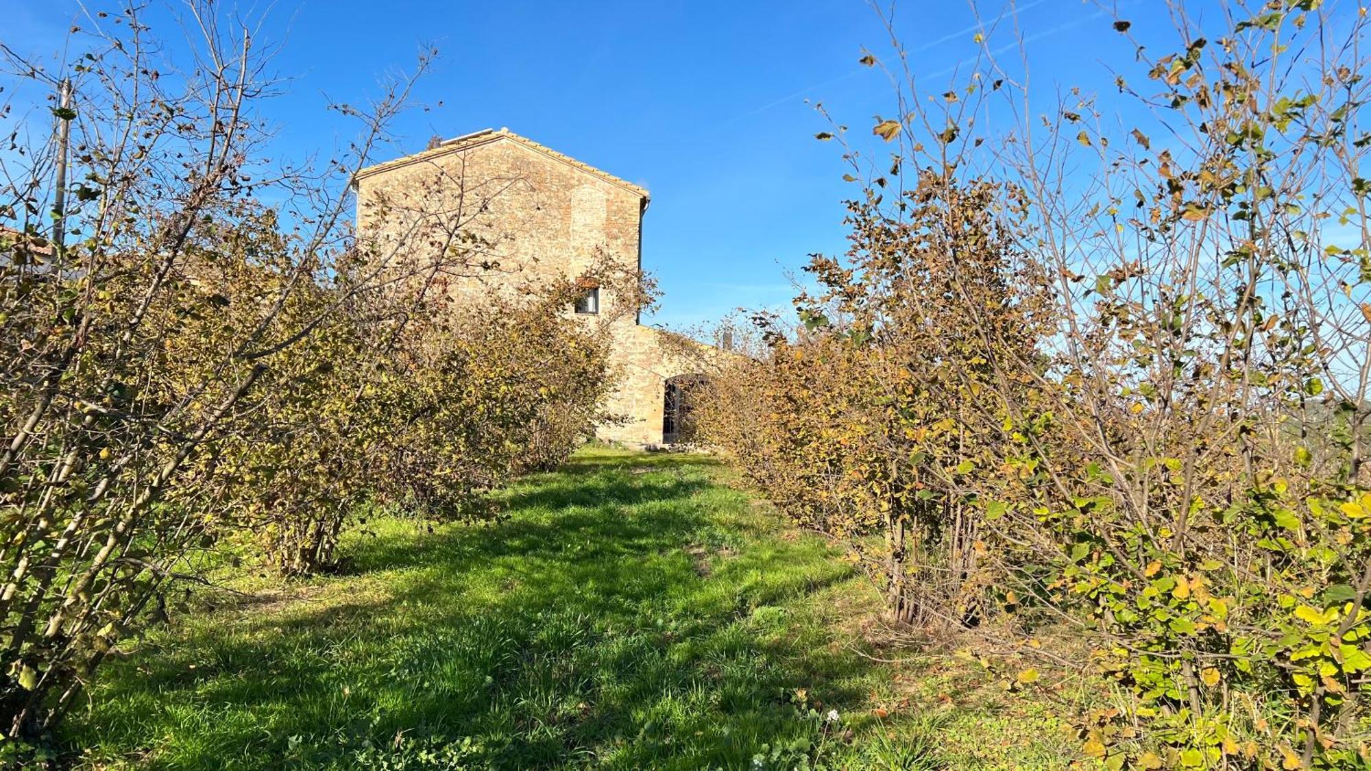 La Creveta Villa Tivissa Eksteriør billede